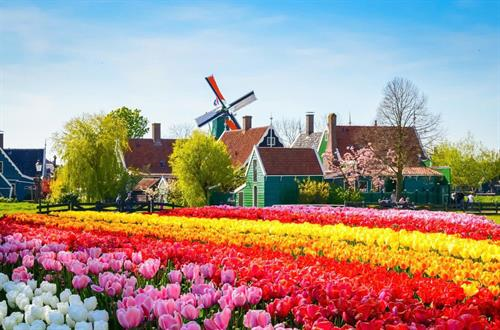 Du lịch Hà Lan – trải nghiệm cuộc sống bình yên, thiên nhiên sơn thủy hữu tình 