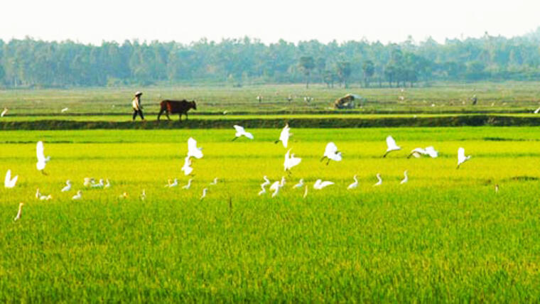 Trường ĐH Tây Bắc: Đề kiểm tra giữa học kỳ 2 môn Ngữ văn lớp 8 năm học 2024 – 2025 