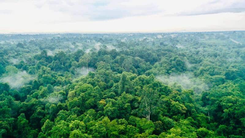 Chiến khu Đ – Di tích quốc gia đặc biệt giữa rừng Mã Đà (Đồng Nai)