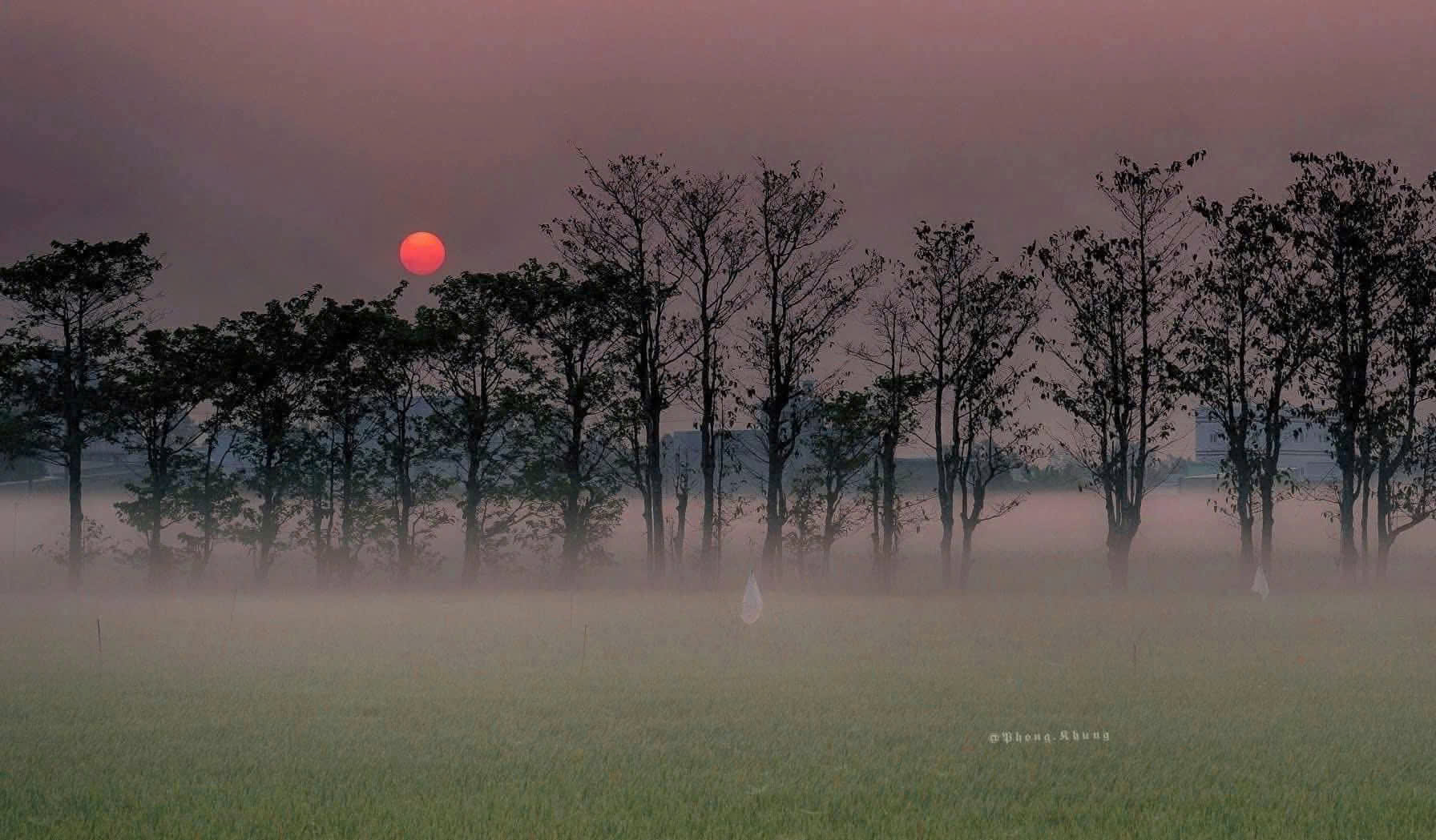 Đề khảo sát chất lượng học kỳ 1 môn Ngữ văn 9 năm học 2024 – 2025  