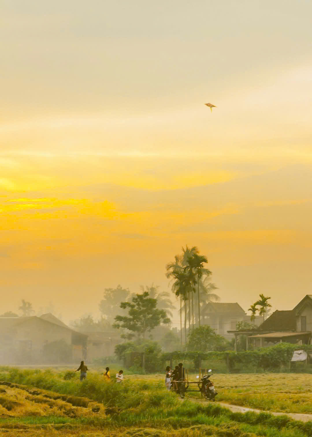 Tản văn: Nơi ấy cội nguồn