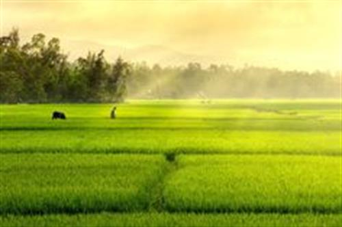 Một số nét văn hóa tiêu biểu của dân tộc Kinh