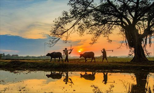 Đề thi:  Em hãy phân tích truyện ngắn “Quê hương” của nhà văn Đào Quốc Thịnh.