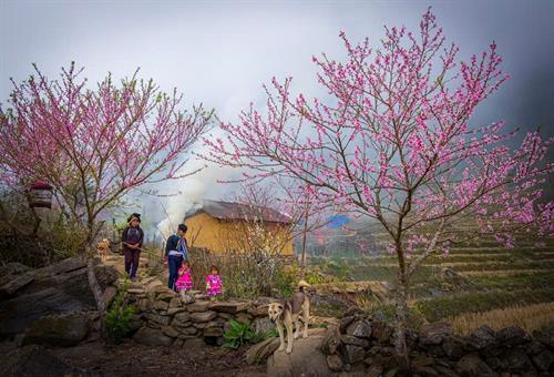 Xuân về nghe điệu hát Then