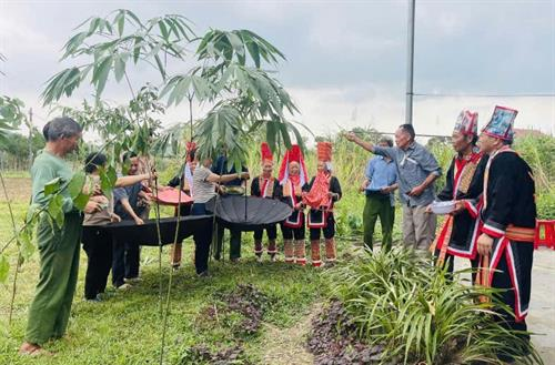 Người Dao giữ rừng bằng nghi lễ cổ